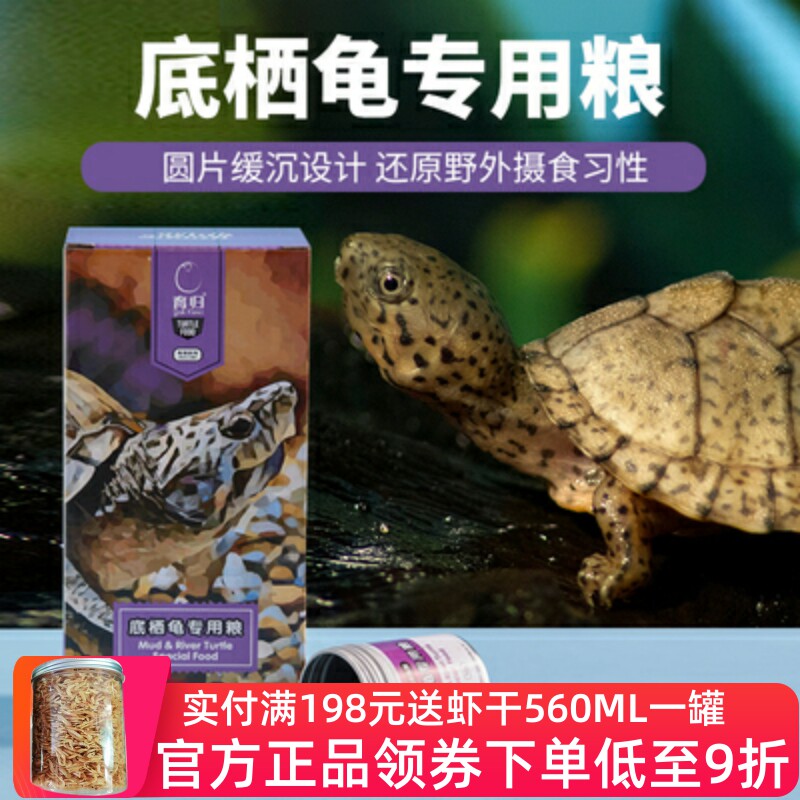 A special tortoise grain for the deep - seated turtle beneath the deep - water turtle with razor Musk Narrow Bridge