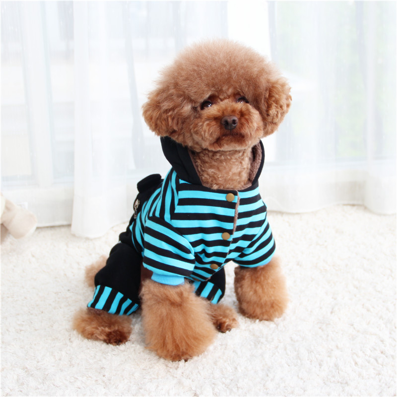 Ca cao Hani Pet Dress Bear Bear Tee Teddy VIP Dog Quần áo - Quần áo & phụ kiện thú cưng phụ kiện cho chó