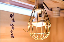 Reptile wooden box uva heating lamp holder anti-scalding net protective cover Tortoise box climbing pet insulation lamp UVB snake lizard pet