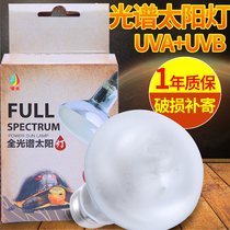 sparkzoo Spark turtle sun back light Climbing pet uvauvb calcium lamp Full spectrum solar lamp Lizard heating lamp