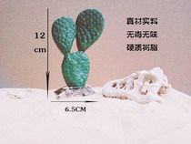 Reptile box Fish tank simulation cactus lizard Maned Lion Palace horned frog Tortoise snake Desert landscape decoration