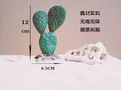 Reptile box fish tank simulation cactus lizard Mane lizard mane lion horned frog tortoise desert landscape decoration