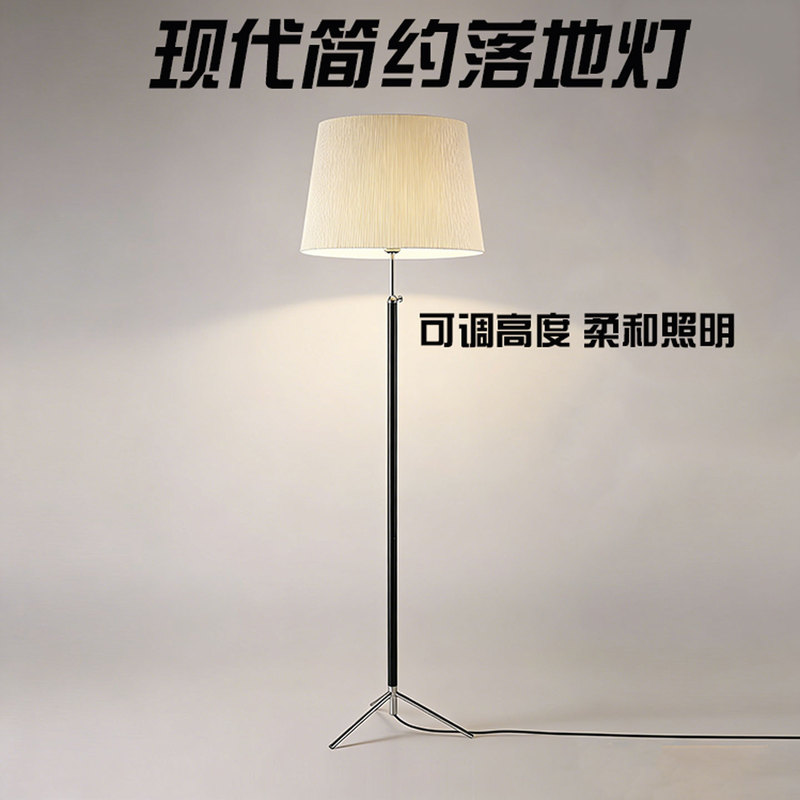 Dijia Designer Spanish Living Room Floor Lamp, Simple Modern Living Room Bedroom Sofa Side Bauhaus Floor Lamp