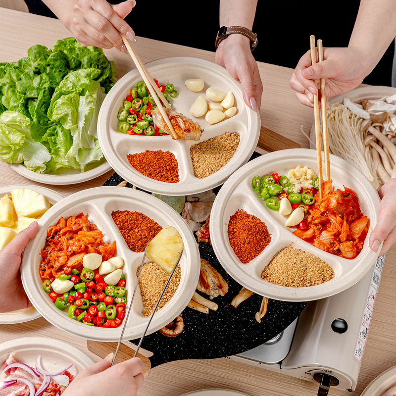 Disposable Dinner Plates for Picnics, Barbecue, Meat Dipping, Divided into Three Compartments, Pulp Dishes, Food-Grade, Round, for Camping and Outdoor Use