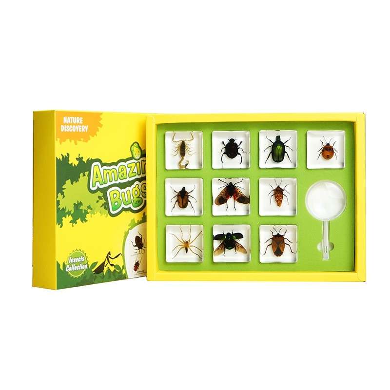 Qianqiangu Children's Popular Science Cognitive Educational Toys Science Experiment Set FK Series Resin-Embedded Insect Specimens