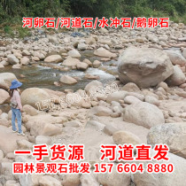 Natural river pebble engineering cobblestone paving water washed stone stream stone river beach stone Guangdong river straight