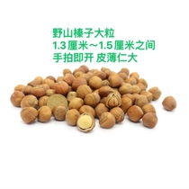 Country girls wild hand-shot hazelnuts authentic Northeast Tieling Kaiyuan nut specialty fried open-flavored original dried fruits