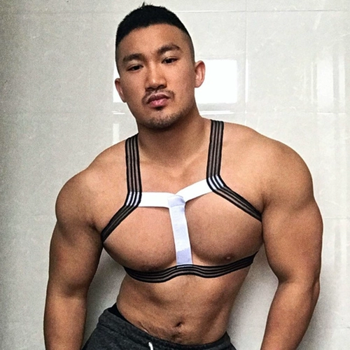 Нагрудный ремень для спортзала, костюм, сексуальное нижнее белье, косплей