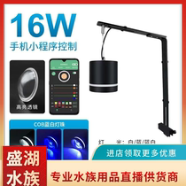 Shenghu live broadcast magic lamp full spectrum LED fish tank downlight goldfish lamp bursting algae color aquatic plant lamp orchid longevity lamp horse seal