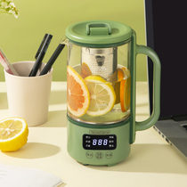 Mini Wellness Pot Office Multifunction Small Burn Water Cup Insulated Flower Teapot Boiled Tea Machine Portable kettle