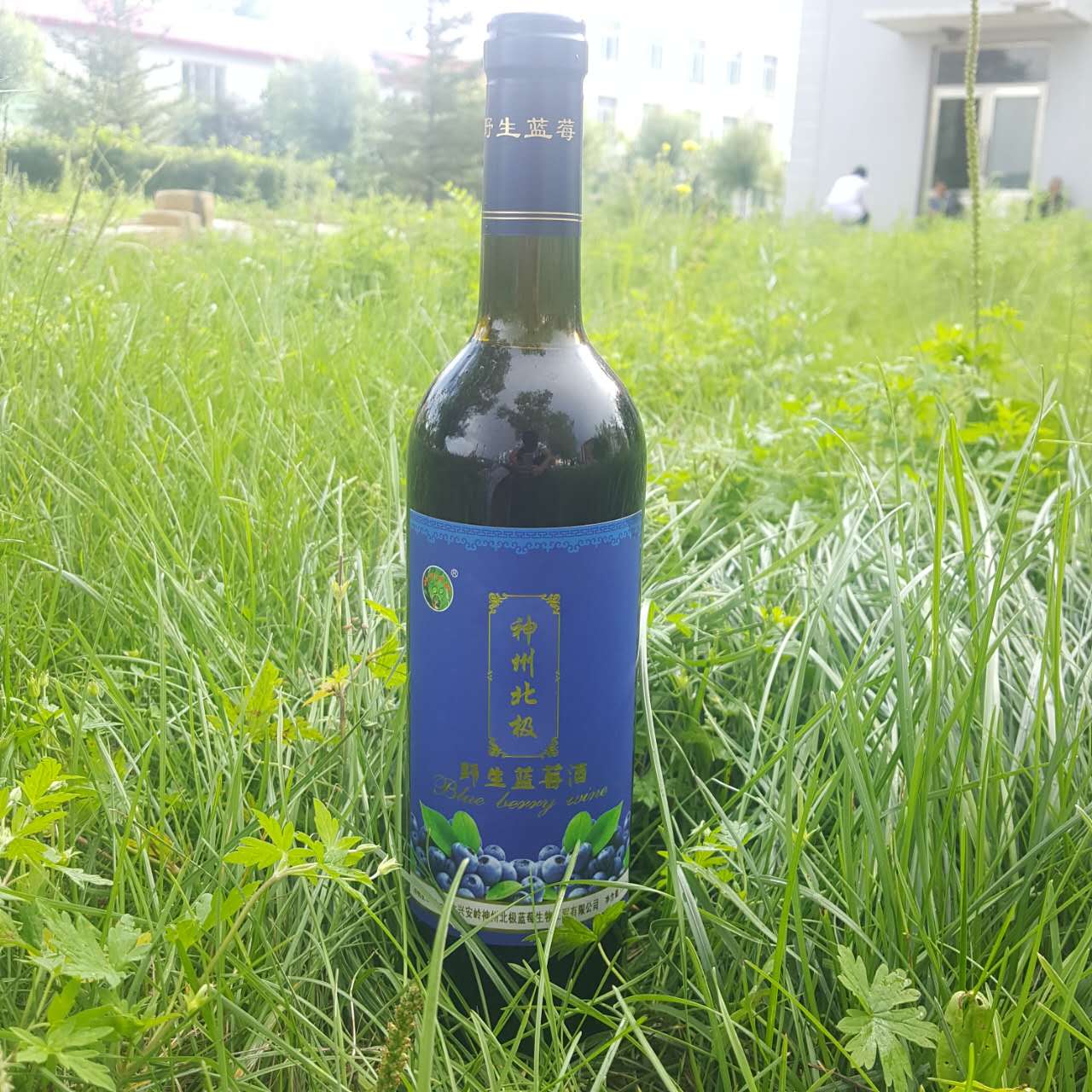 Daxinganling Shenzhou Arctic natural fermentation brewing blueberry wine puree red wine 750ml