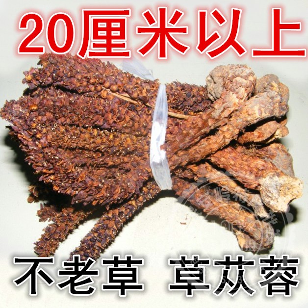 New Daxinganling bulk wild Bulao grass tea Mountain bud rice brewing wine Columnang Cistanche natural drying 500 grams
