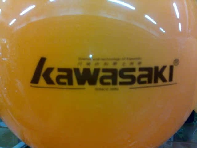 Ballon de volley - Ref 2012124 Image 6