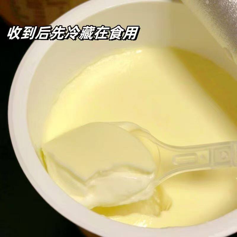 🌟内蒙古臻牛奶皮子酸奶,健康美味从这里开始 🍓-低温酸奶-淘宝好物网