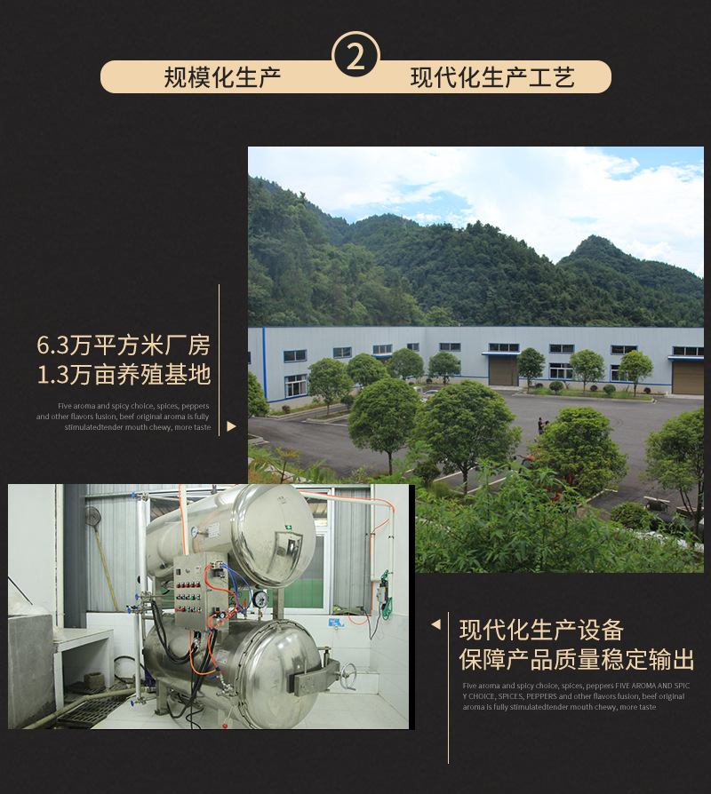 牛肉粒（老包装-袋装60克）_18