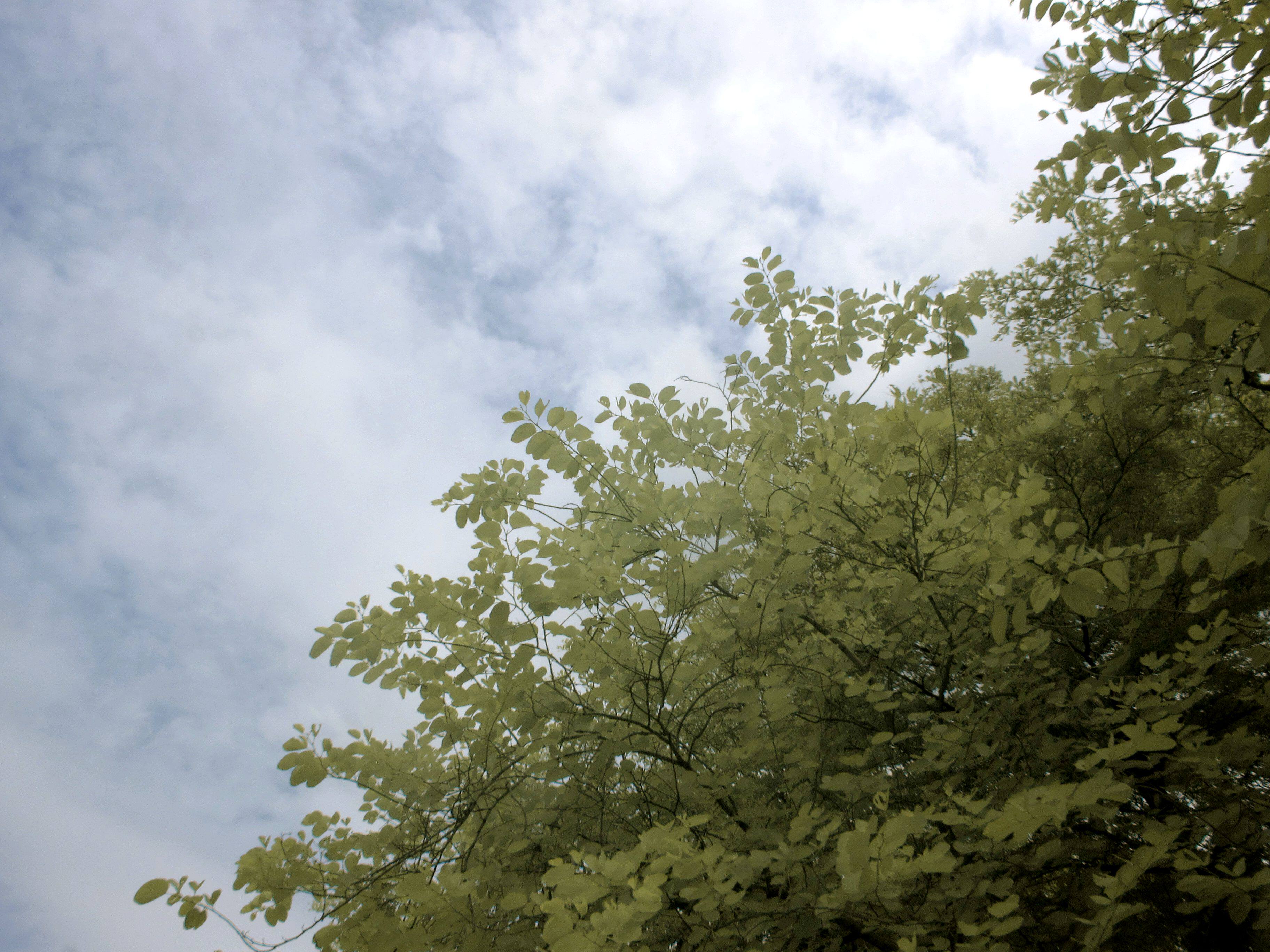 Hand rope post-difference link contact remake thanks camera-Taobao