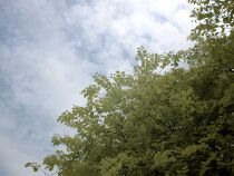 Hand rope to make up the price difference link contact again thank you camera