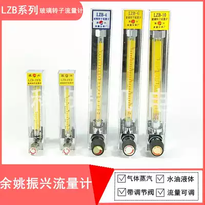 Yuyao Zhenxing LZB-10 Glass Rotor Flowmeter Gas Liquid Water Flow Meter Air Flowmeter