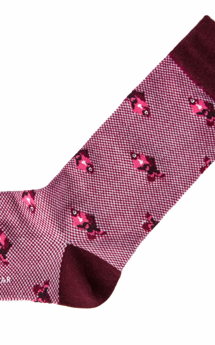 Chaussettes - collants SELECTED 41611Q009 - Ref 761335 Image 21