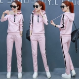 Демисезонный осенний модный спортивный костюм для отдыха, комплект, 2018