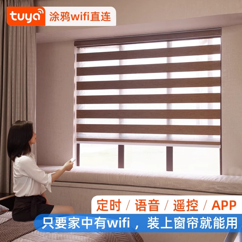 Smart Electric Soft Curtain Wifi Direct Connection Tuya Zigbee Rechargeable Remote Control Zebra Curtain Dimming Curtain Roller Blind Window Curtain Smart Electric Soft Curtain Wifi Direct Connection Tuya Zigbee Rechargeable Remote Control Zebra Curtain Dimming Curtain Roller Blind Window Curtain