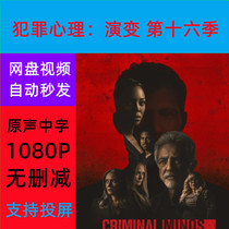 Criminal Minds: Evolution Season 16 TV Series Complete Episodes Shipped from Online Disk Materials Not Promotional Posters