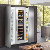 HI-SEASONS Henglong European style wall-mounted living room modern light luxury wine cabinet constant temperature wine cabinet EWTdf3553