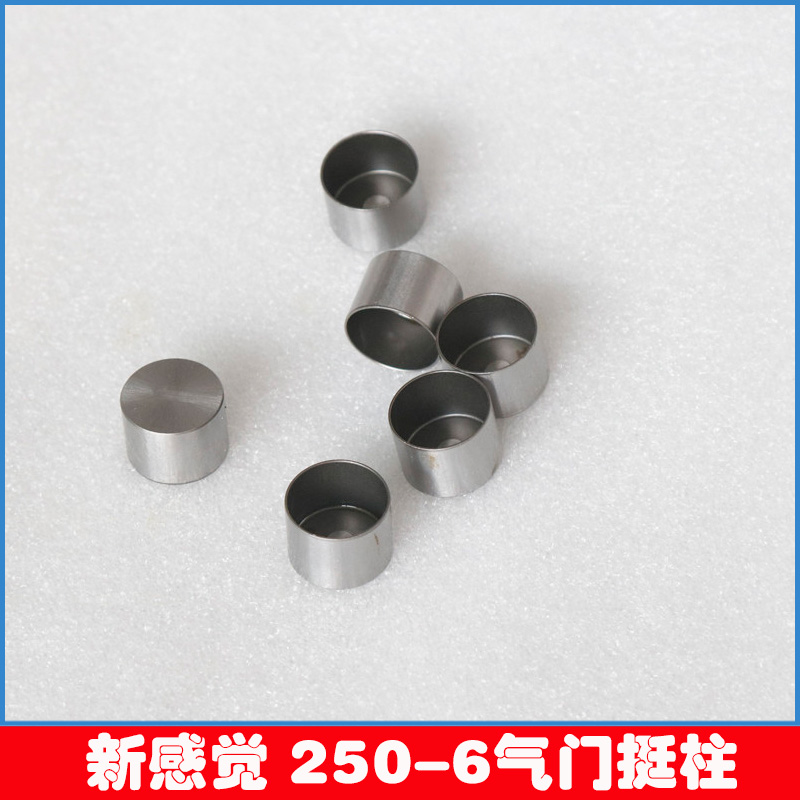 New feeling urban wolf 250-6 250-3 engine valve valve oil seal valve spring valve tappet