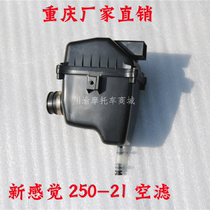 New feeling 250 motorcycle air filter 250-21 air filter assembly 300 air filter assembly original