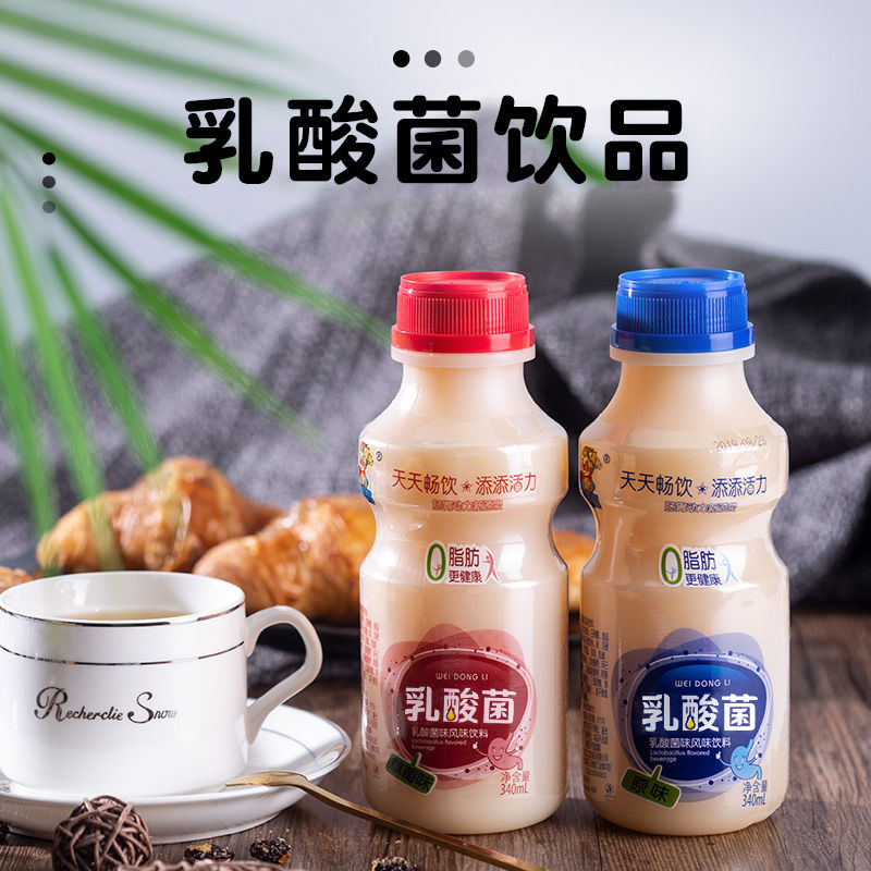 原味胃动力乳酸菌340ml*每瓶12瓶装