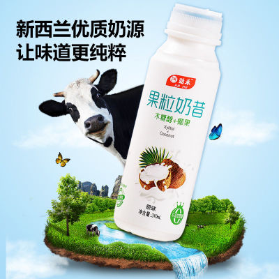 酸奶酸牛奶果粒奶昔整箱特价减脱脂低脂乳酸菌益生早餐饮品饮料