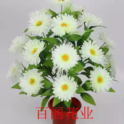 Simulation flowers 18 lasagna chrysanthemum fake flowers tomb-sweeping white large bouquets sacrifice on the tomb Silk flowers full