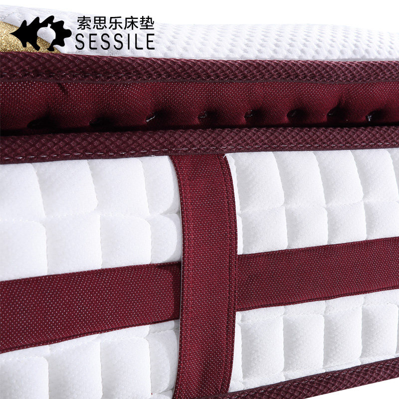 ��˼����Ȼ�齺������ʤ����22