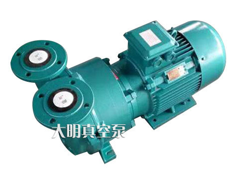 Zibo Boshan cast iron stainless steel water ring vacuum pump 2BV5110 5111 2BV5121 5131 5161
