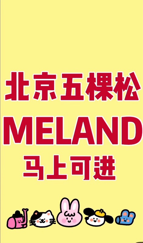 Wuke Song Melandclub Mechanical Theme Park