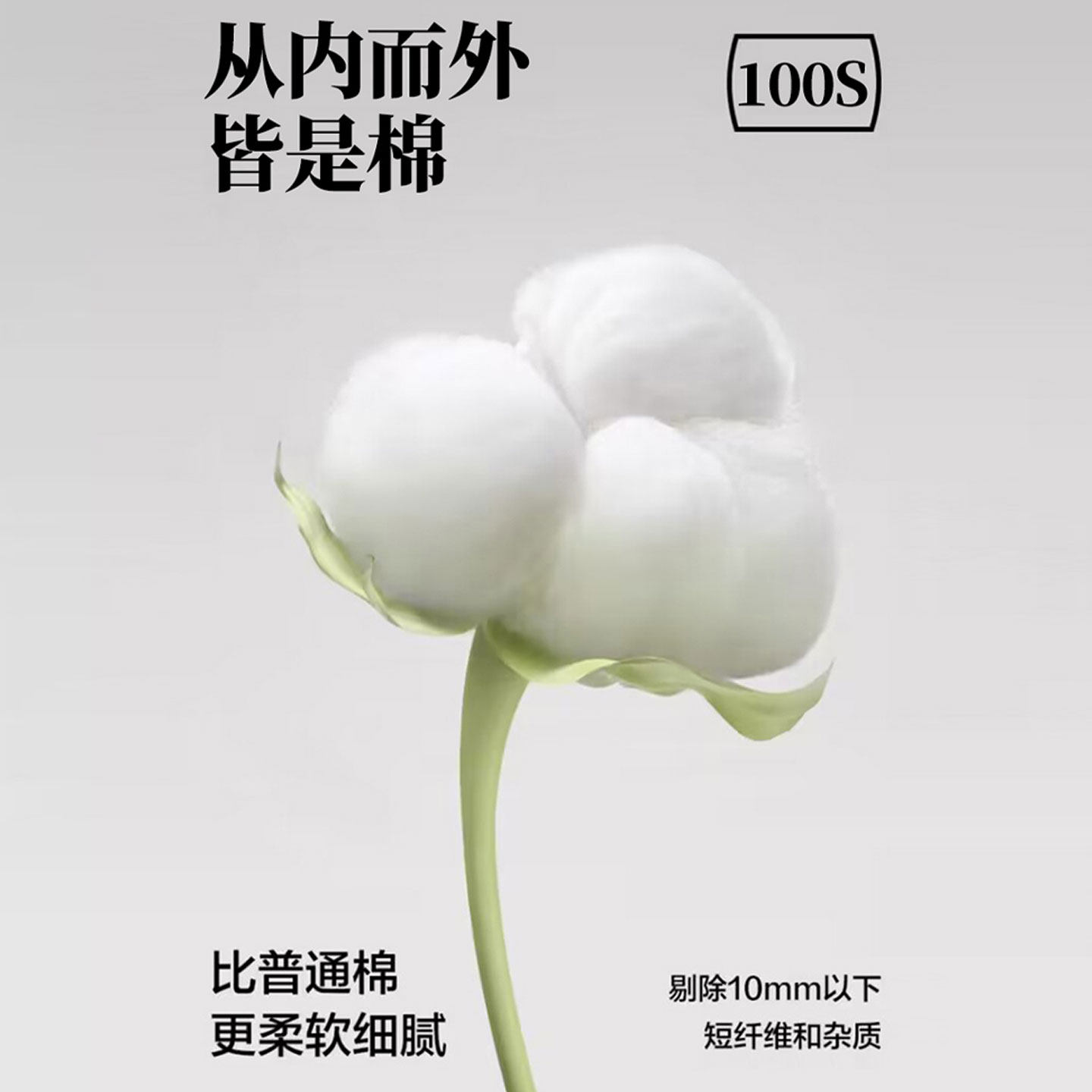 泰泰家居生活用品