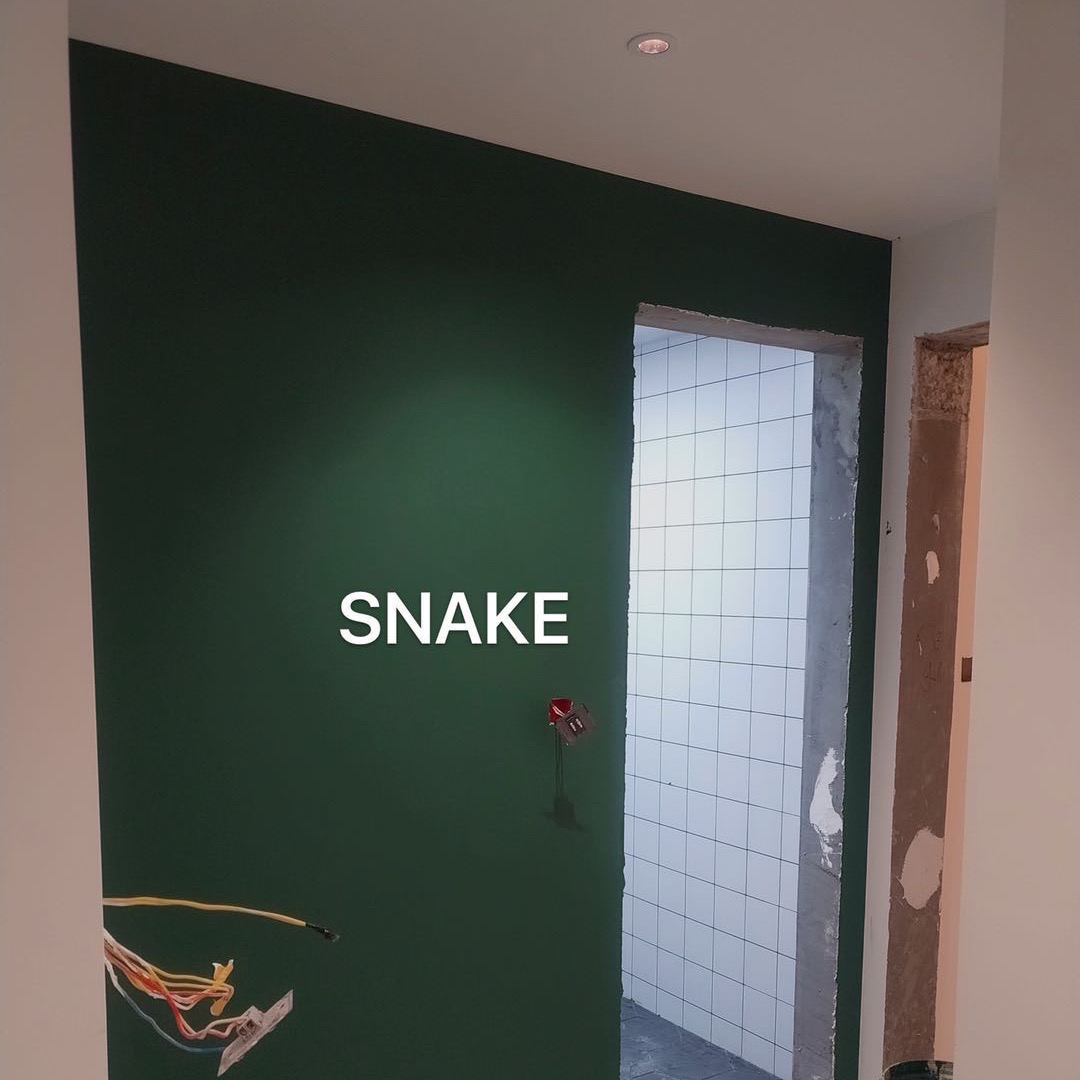 SNAKE-Musk Ultra-thin anti-glare Downlight-Embedded