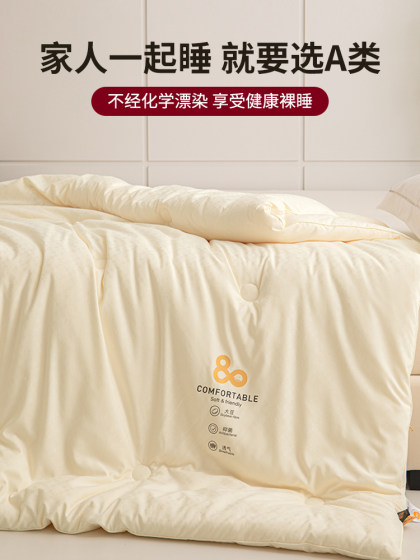 Muji Class a 80% Soybean Fiber Quilt for Student Dormitory Single Bed, Spring and Autumn Quilt, Thickened Winter Quilt, Double Quilt