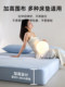 Muji Nylon A-Class Deep Sleep Non-Glue Breathable Natural Cooling Ice Skin Fitted Sheet Mattress Protector Machine Washable