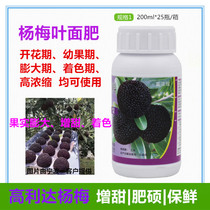 Gaolida Bayberry special high-concentration sweetening hard fat Shuojin fresh-keeping increase production to promote photosynthesis 200ML