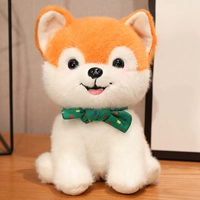 Шиба Ину зеленый воротник