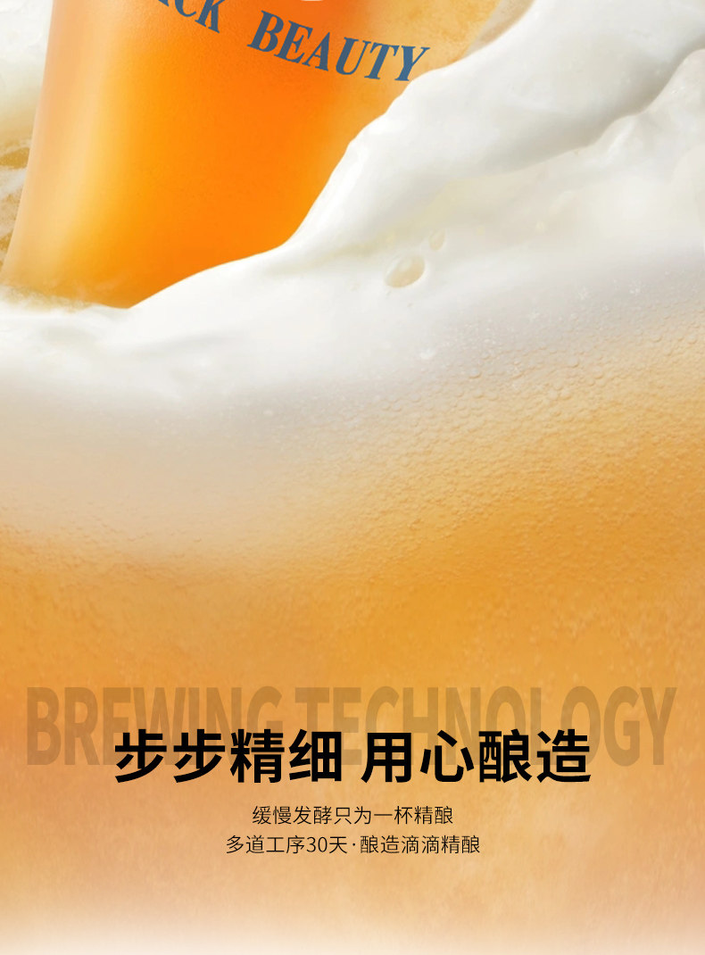 安享好物 安享A级啤酒-黑美人哈舅 德式啤酒 国标 
