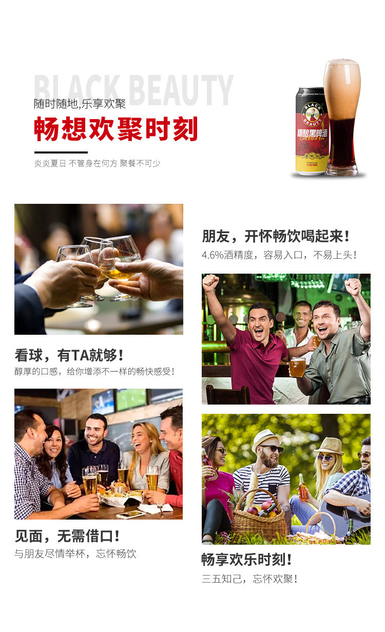 安享好物 安享A级啤酒-黑美人全麦黑啤 国标