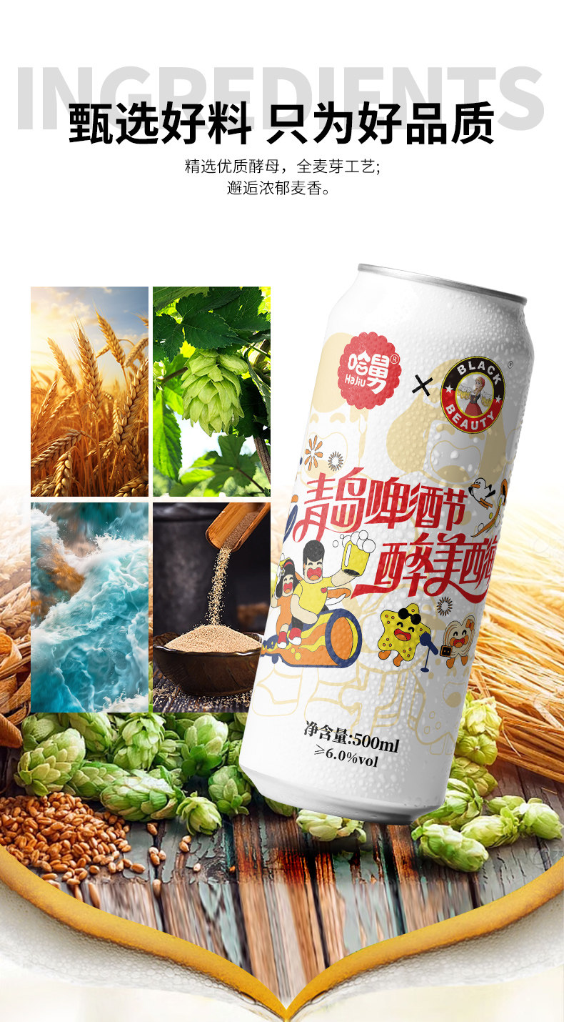 安享好物 安享A级啤酒-黑美人哈舅 德式啤酒 国标 