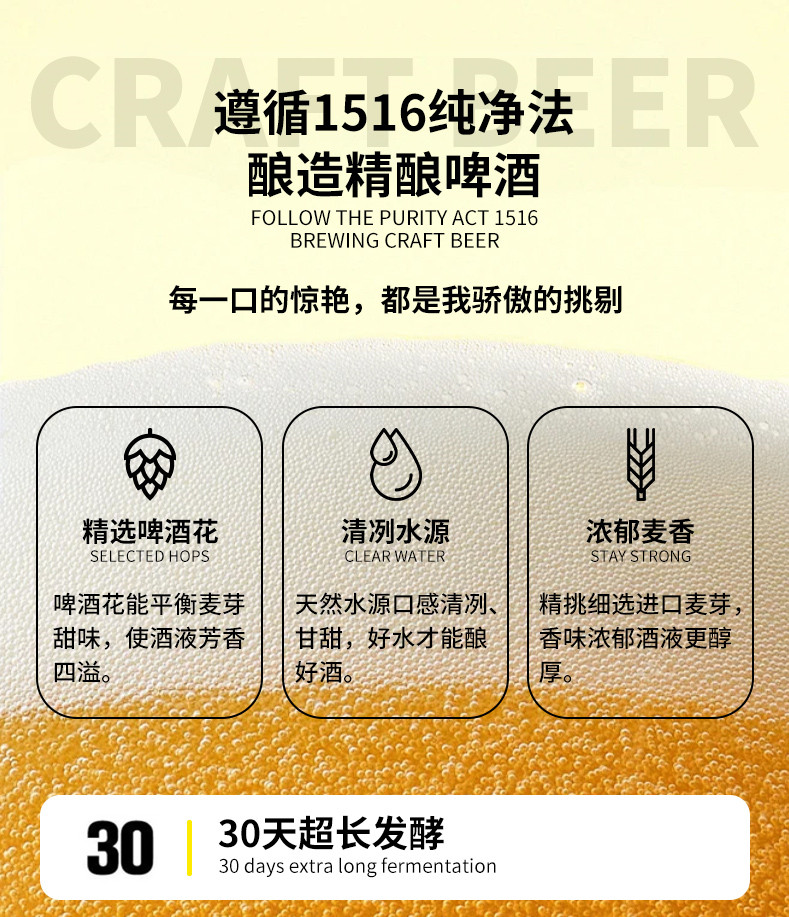 安享好物 安享A级啤酒-黑美人哈舅 德式啤酒 国标 