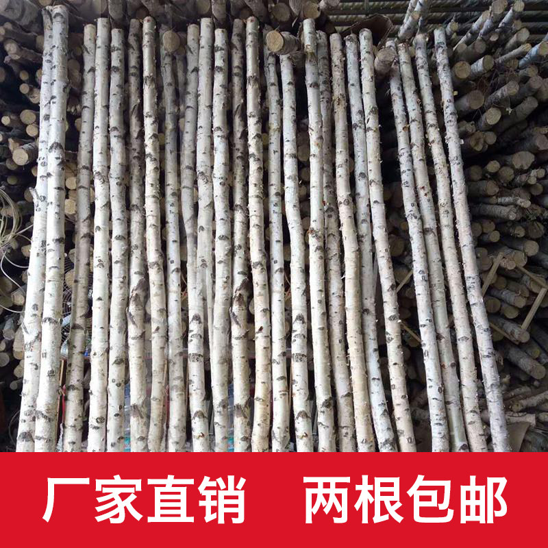Log White Birch Tree Decoration Tree Section Tree Stump Branches White Birch Trunk Windows Partition Xuanguan Various activities arranged trees-Taobao