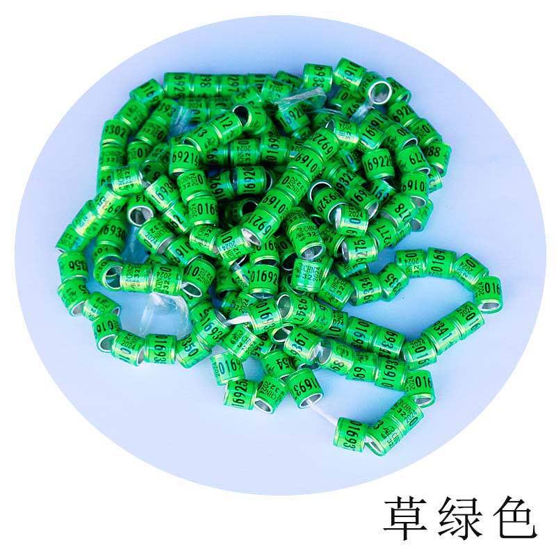 中原国际博览中心展会安排时间，小白必看的逛展攻略，绝绝子！