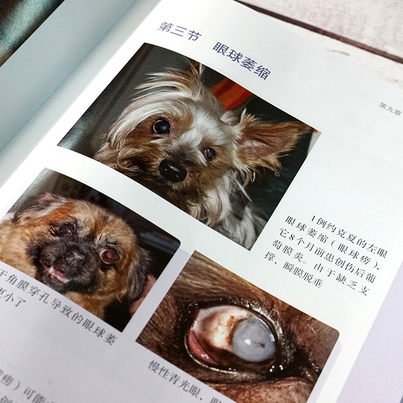 犬貓眼科學快速指導手冊寵物犬貓獸醫眼科小動物1300多幅高清彩色圖案一本簡單易懂的犬貓眼科病治療手冊文字簡潔通俗易懂