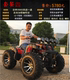 Big and small bull beach axle rotating quad bike sports car 125-250cc mountain bike off-road vehicle