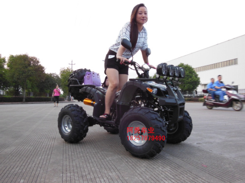 Lớn và nhỏ bull bãi biển trục xoay bốn bánh xe máy xe thể thao 125-250cc xe đạp leo núi off-road vehicle